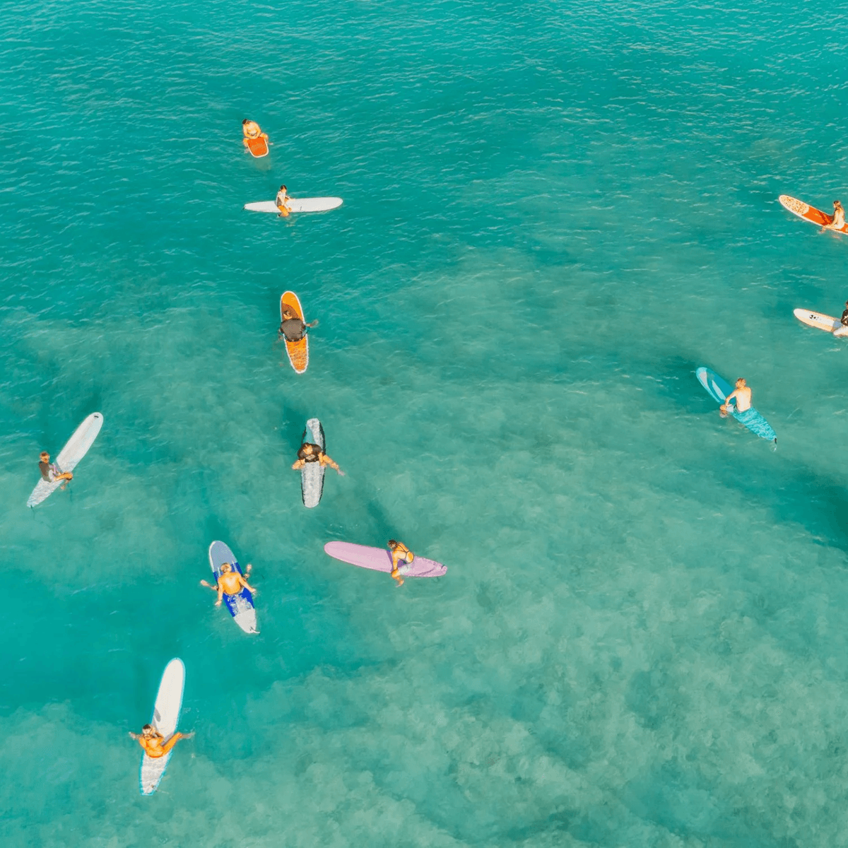 Surf Camp