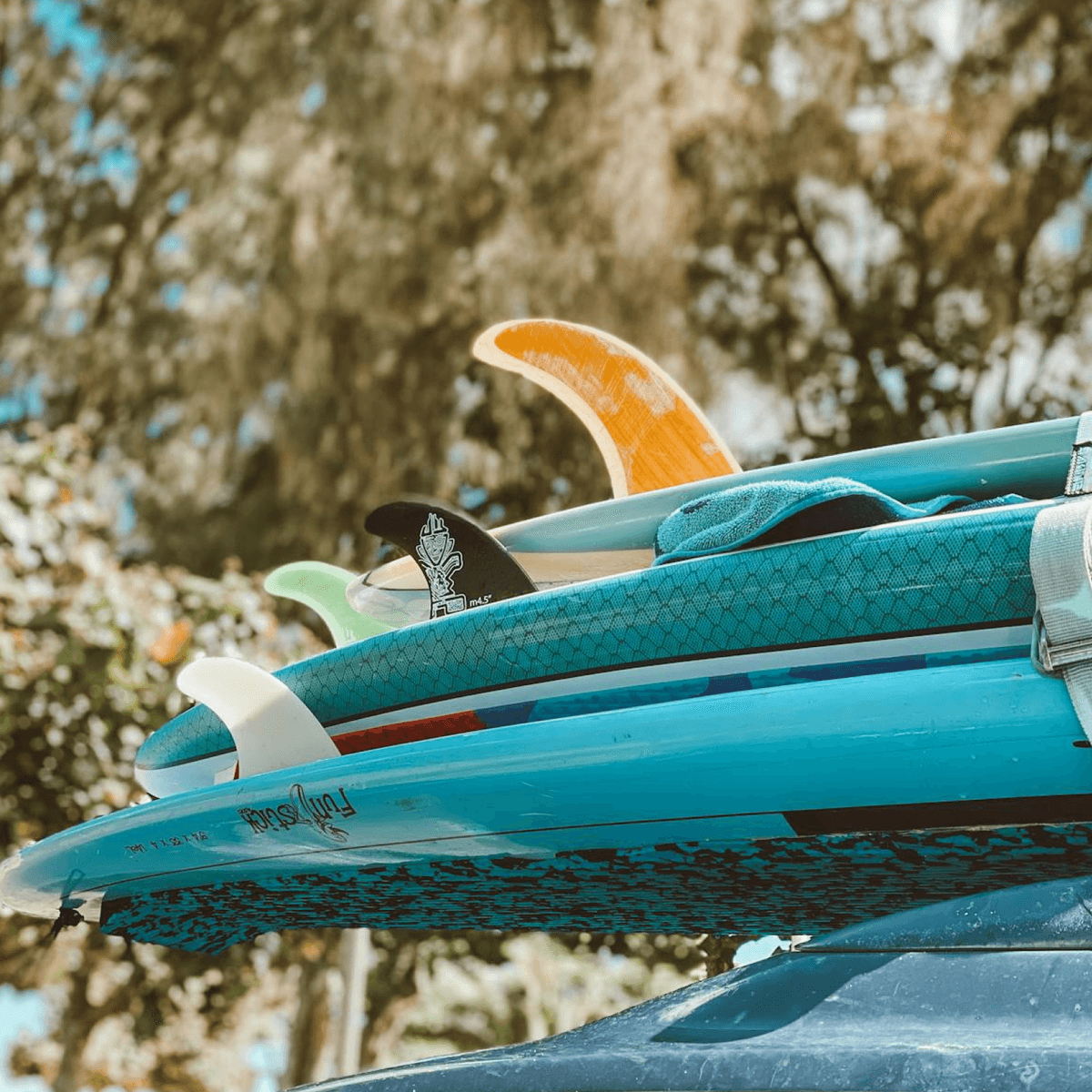 Surf Tour Guide